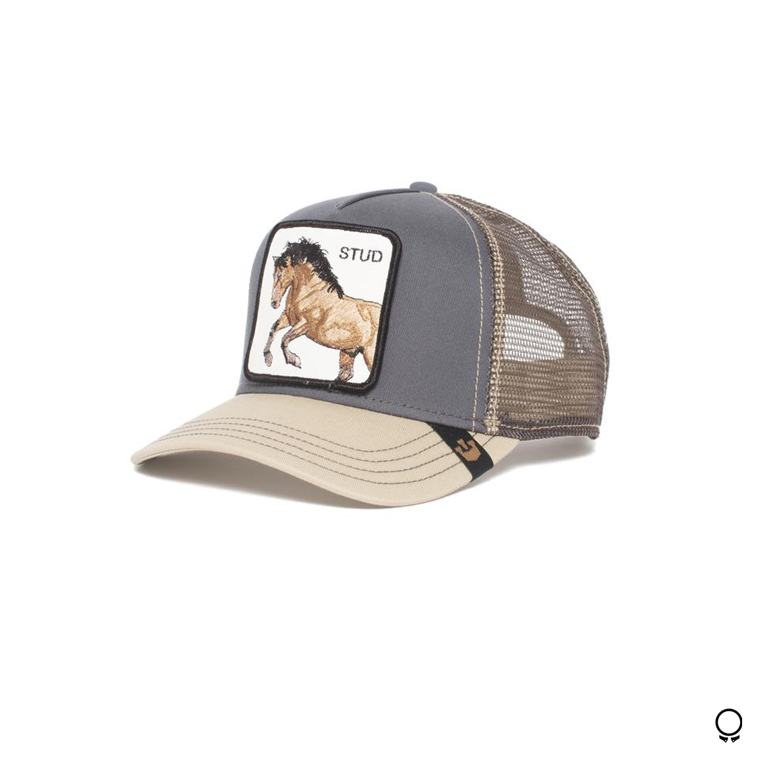 GORRA GOORIN BROS YOU STUD GRIS