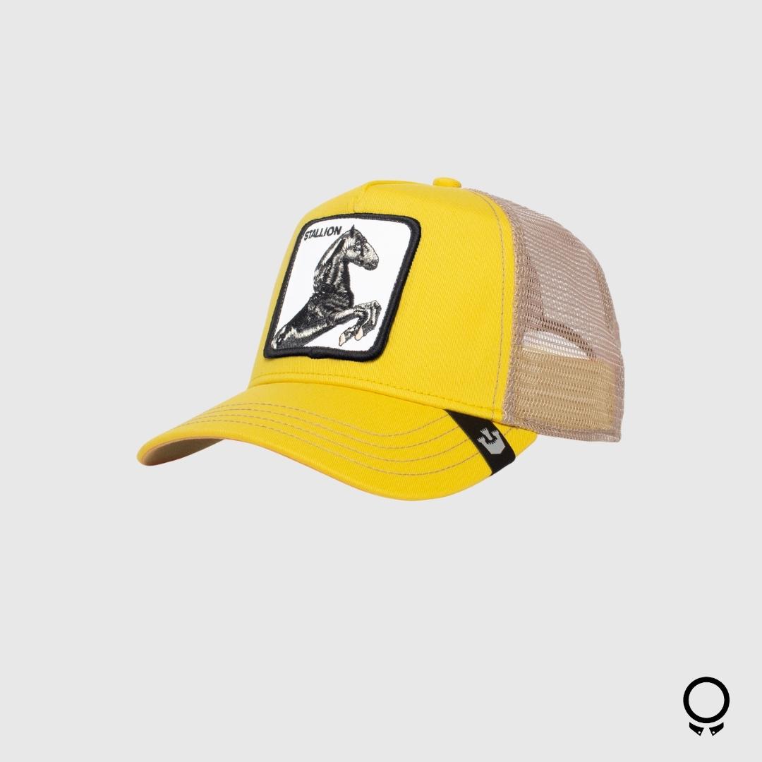 GORRA GOORIN BROS THE STALLION AMARILLO