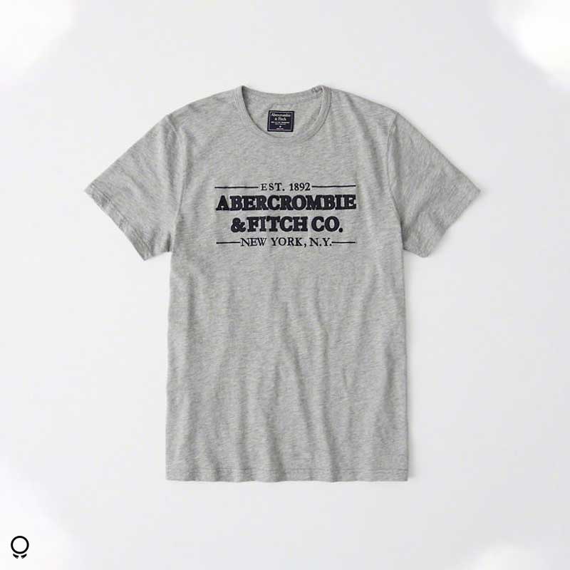 REMERA ABERCROMBIE CUELLO REDONDO GRIS CON ESTAMPA LETRAS