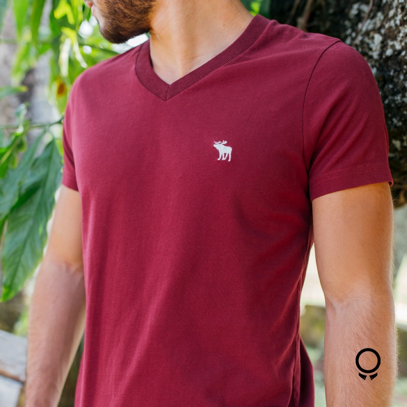 REMERA ABERCROMBIE MANGAS CORTAS CUELLO V BORDO