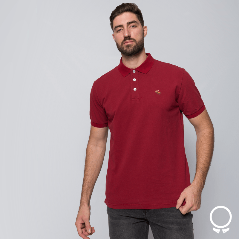 REMERA ABERCROMBIE POLO BORDO