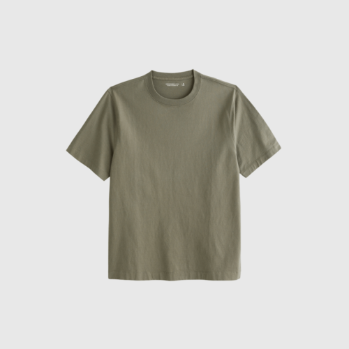 REMERA ABERCROMBIE REGULAR FIT PREMIUM TEE KAKHI