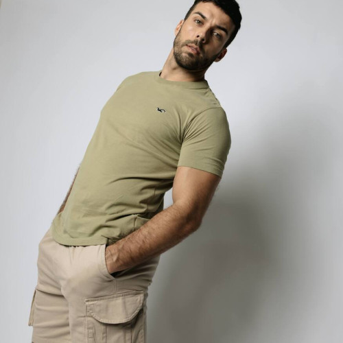 REMERA HOLLISTER REGULAR FIT VERDE MUSGO