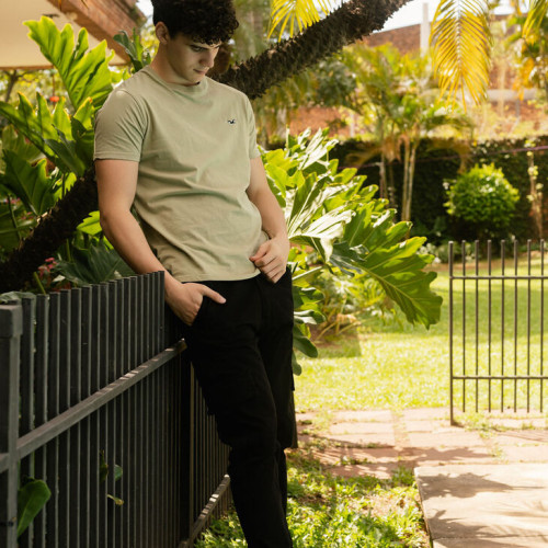 REMERA HOLLISTER REGULAR FIT VERDE MUSGO