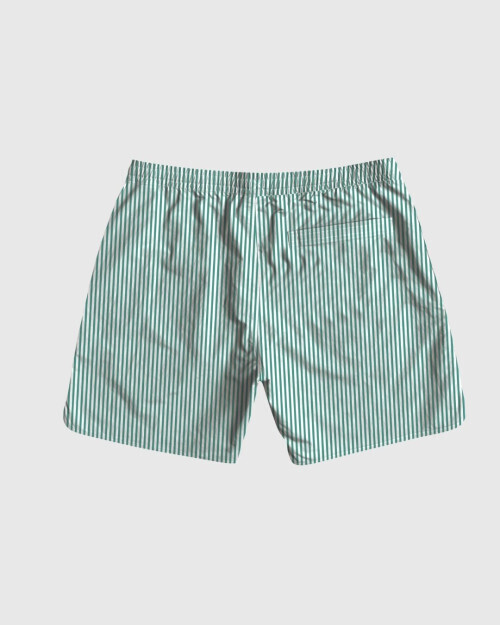 SHORT DE BAÑO LIBERATO BASICS RAYITAS VERDE