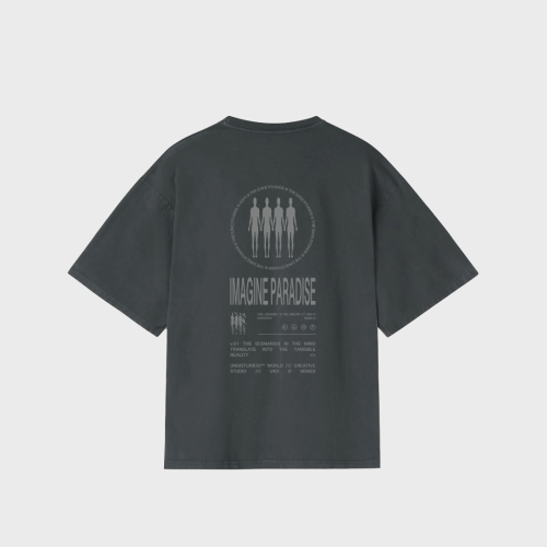 REMERA  OVERSIZE UNDISTURB3D IMAGINE PARADISE 250 GSM GREY