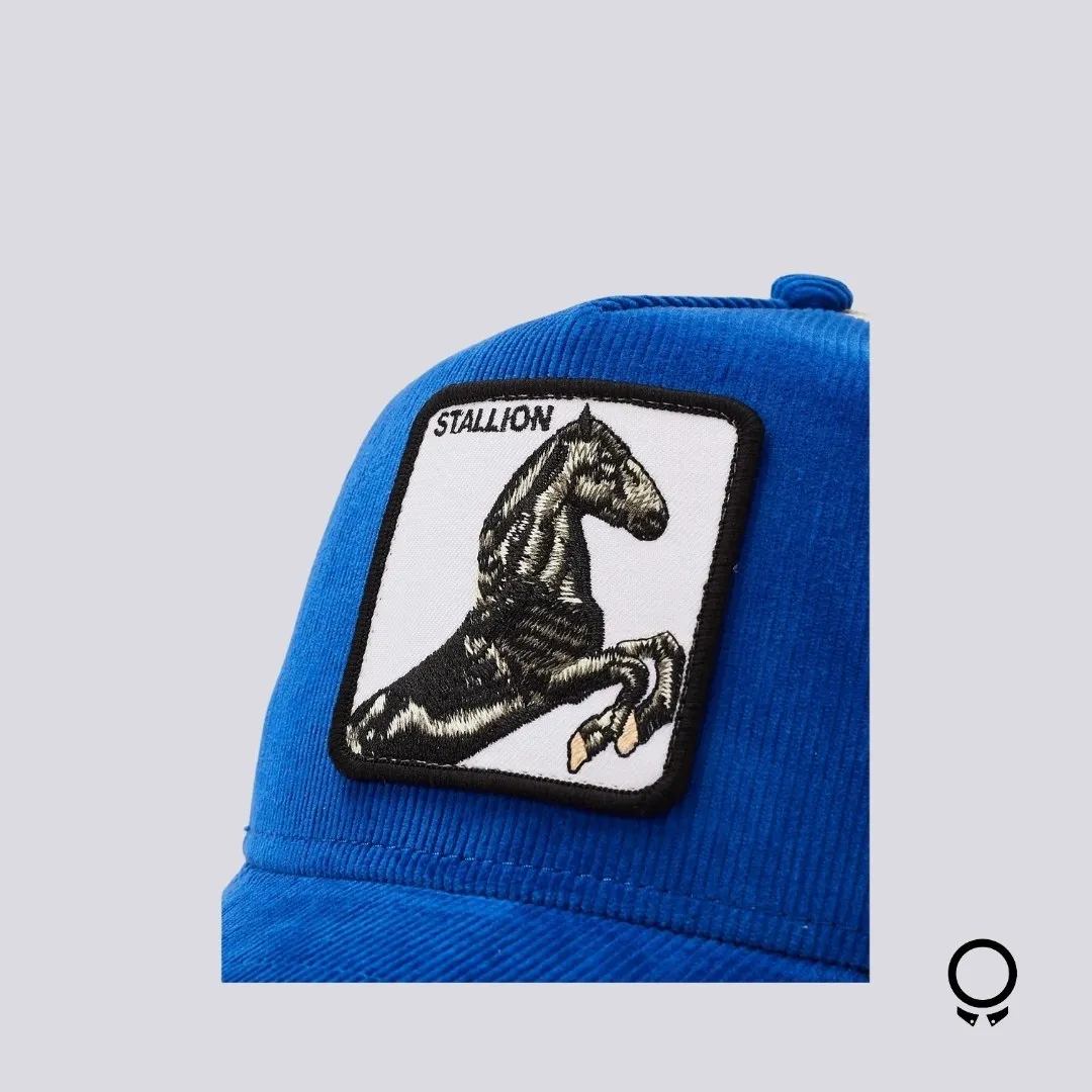 GORRA GOORIN BROS SLY STALLIONE CORE AZUL
