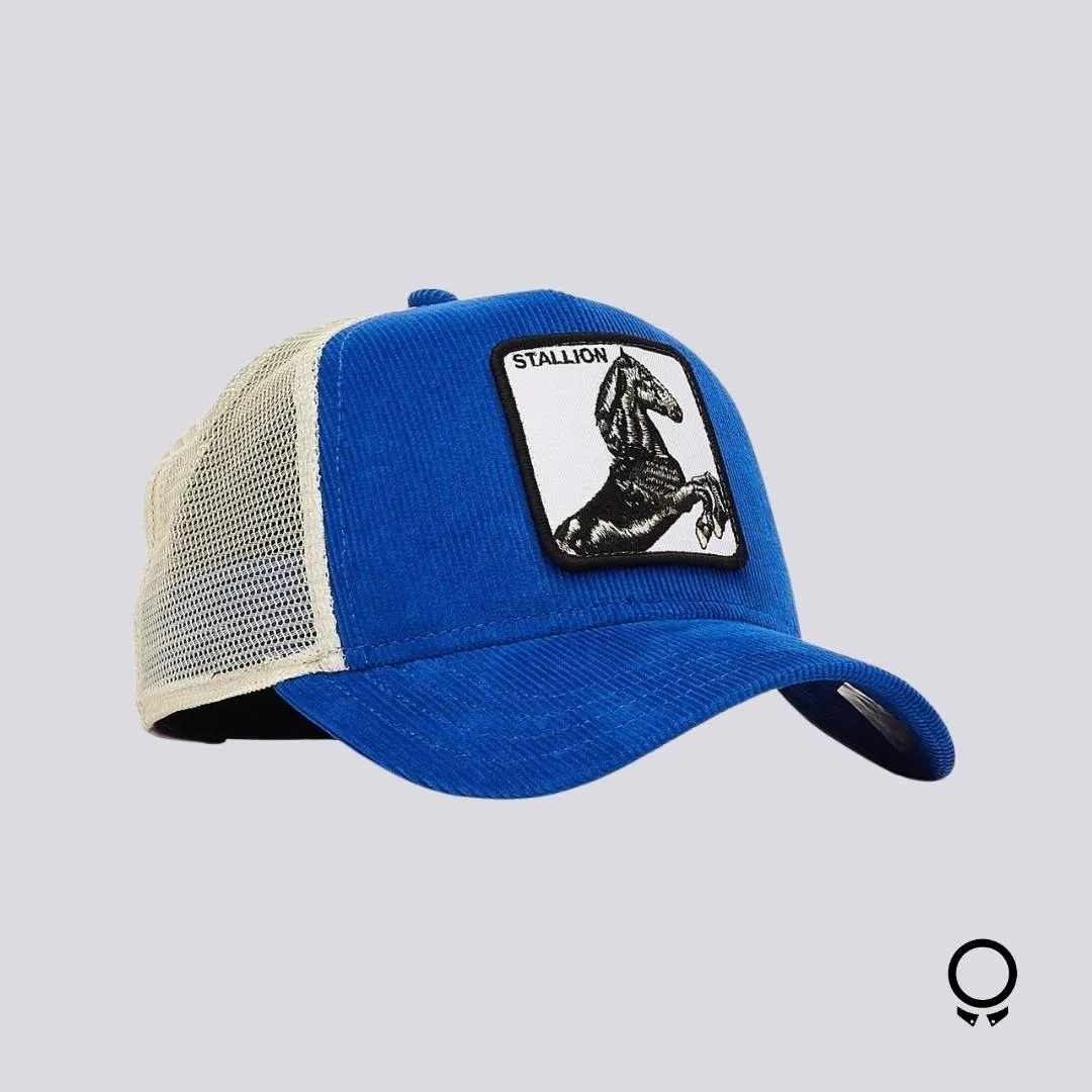 GORRA GOORIN BROS SLY STALLIONE CORE AZUL