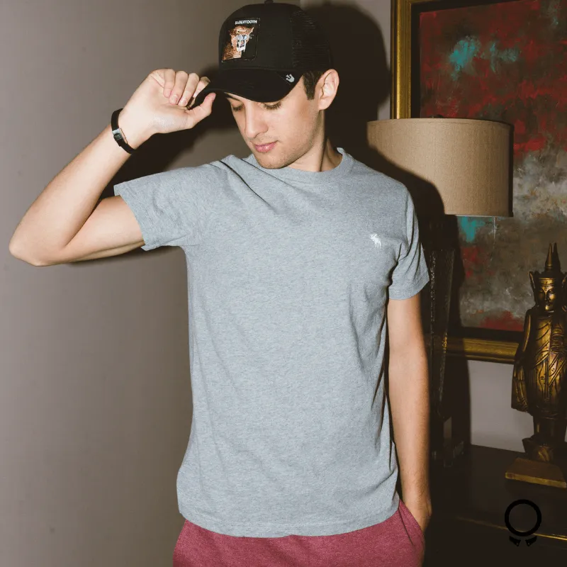 REMERA ABERCROMBIE CUELLO REDONDO GRIS LOGO NEGRO