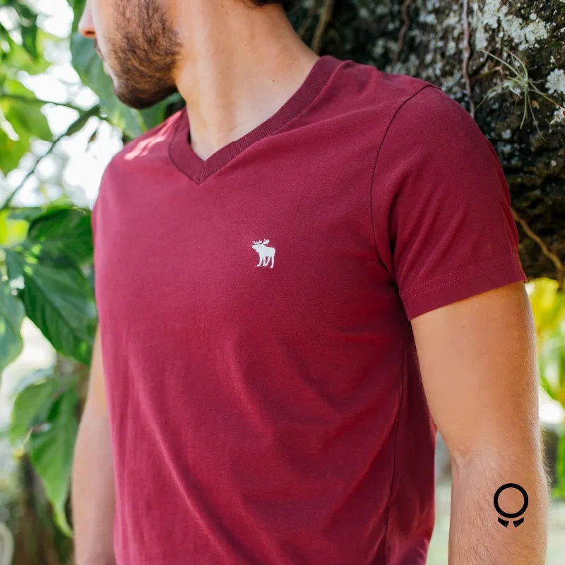 REMERA ABERCROMBIE MANGAS CORTAS CUELLO V BORDO