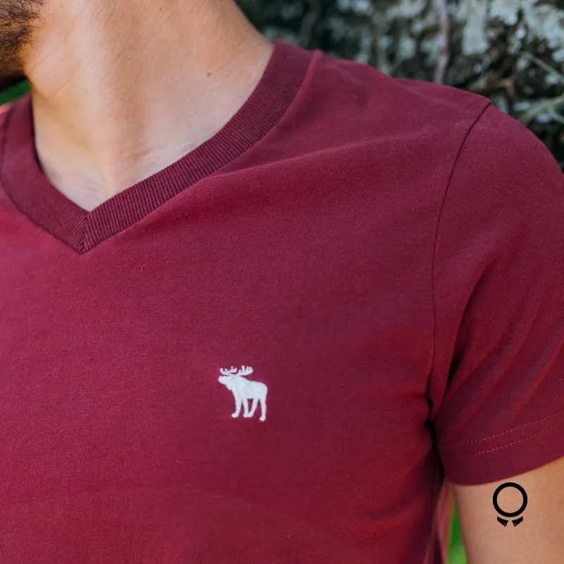 REMERA ABERCROMBIE MANGAS CORTAS CUELLO V BORDO