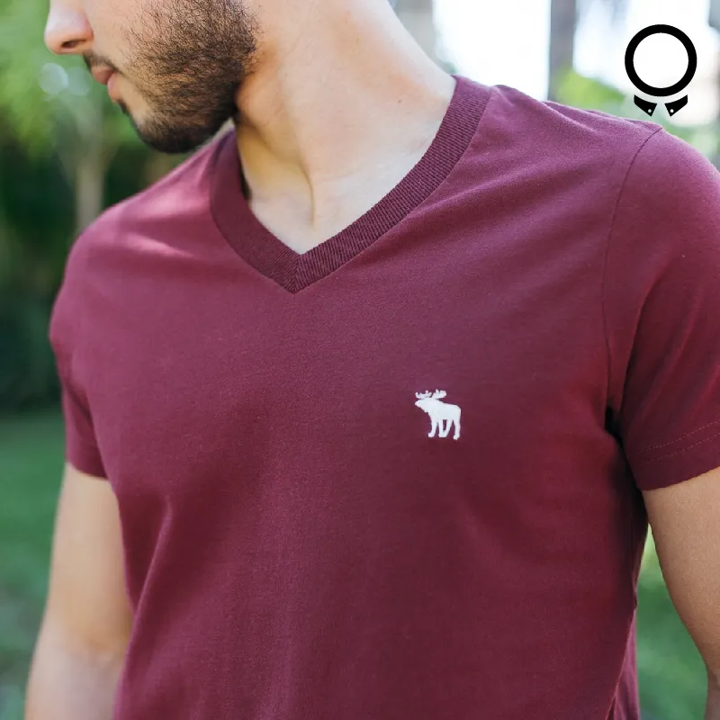 REMERA ABERCROMBIE MANGAS CORTAS CUELLO V BORDO