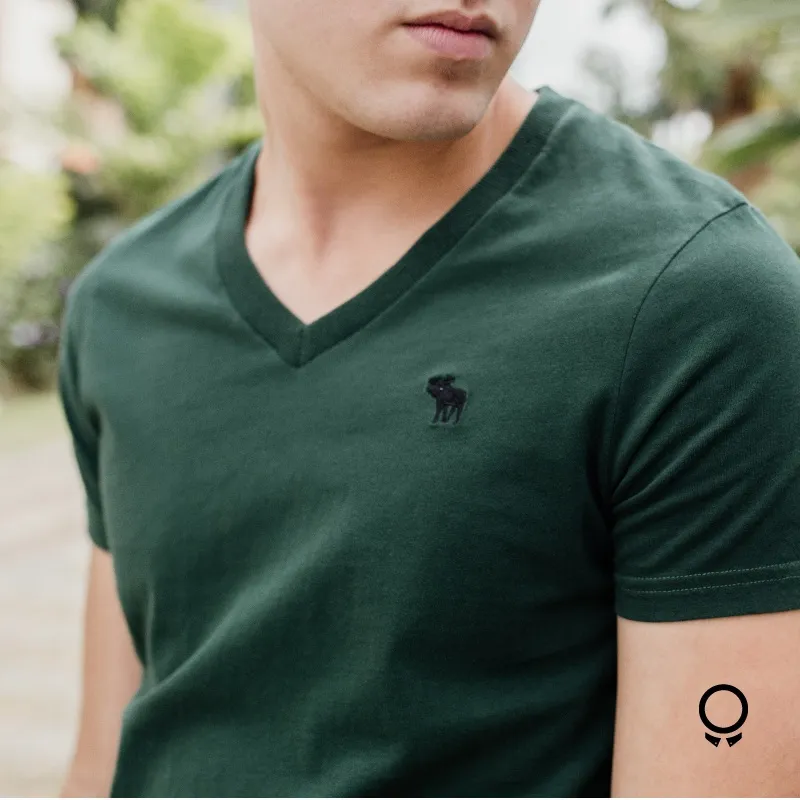 REMERA ABERCROMBIE VERDE MUSGO CUELLO V LOGO NEGRO