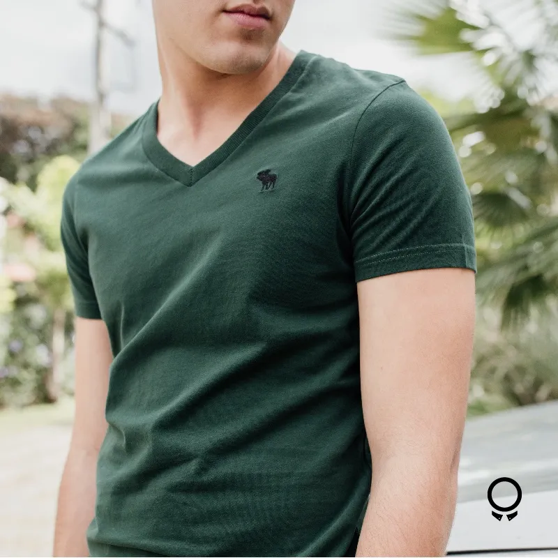 REMERA ABERCROMBIE VERDE MUSGO CUELLO V LOGO NEGRO