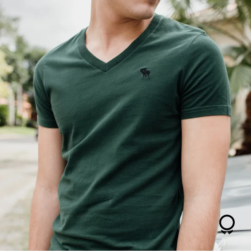 REMERA ABERCROMBIE VERDE MUSGO CUELLO V LOGO NEGRO