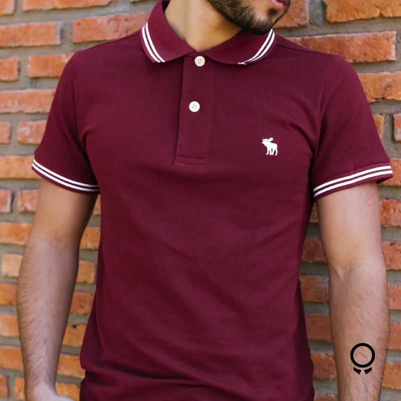 REMERA ABERCROMBIE CUELLO POLO BORDO DETALLE EN LA MANGA