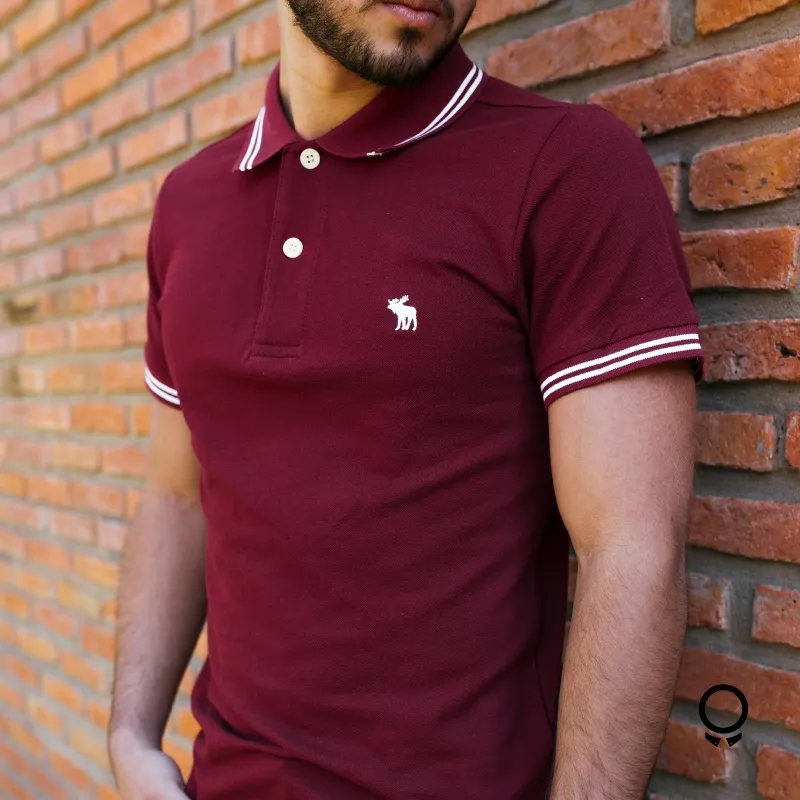 REMERA ABERCROMBIE CUELLO POLO BORDO DETALLE EN LA MANGA