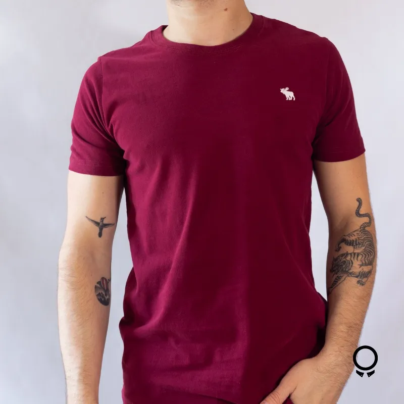 REMERA ABERCROMBIE CURVA BORDO