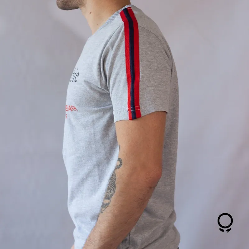 REMERA ABERCROMBIE CUELLO REDONDO GRIS ESTAMPA DETALLE EN EL HOMBRE