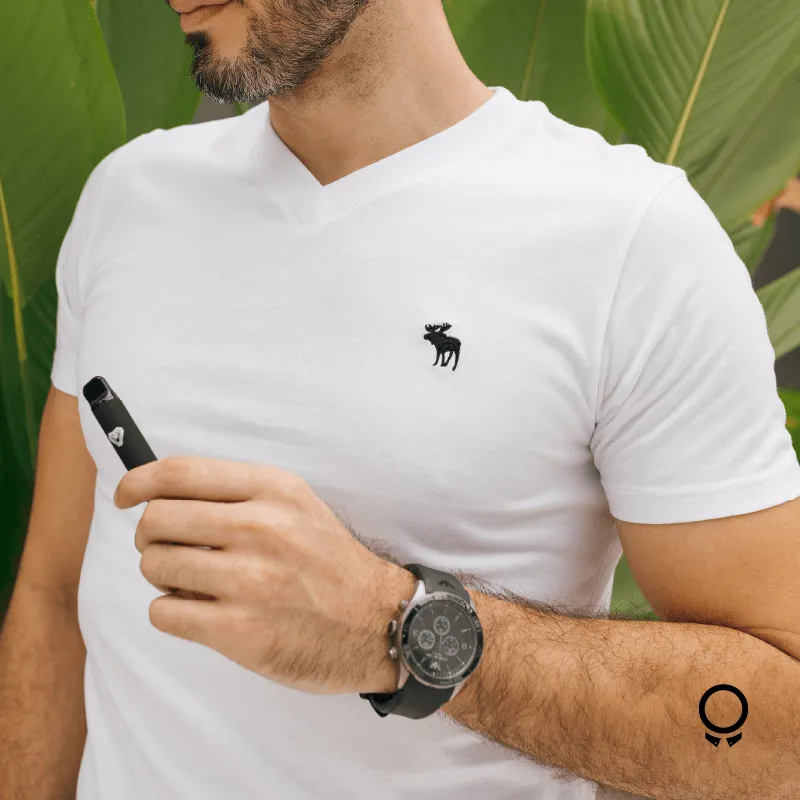 REMERA ABERCROMBIE CUELLO V BLANCA