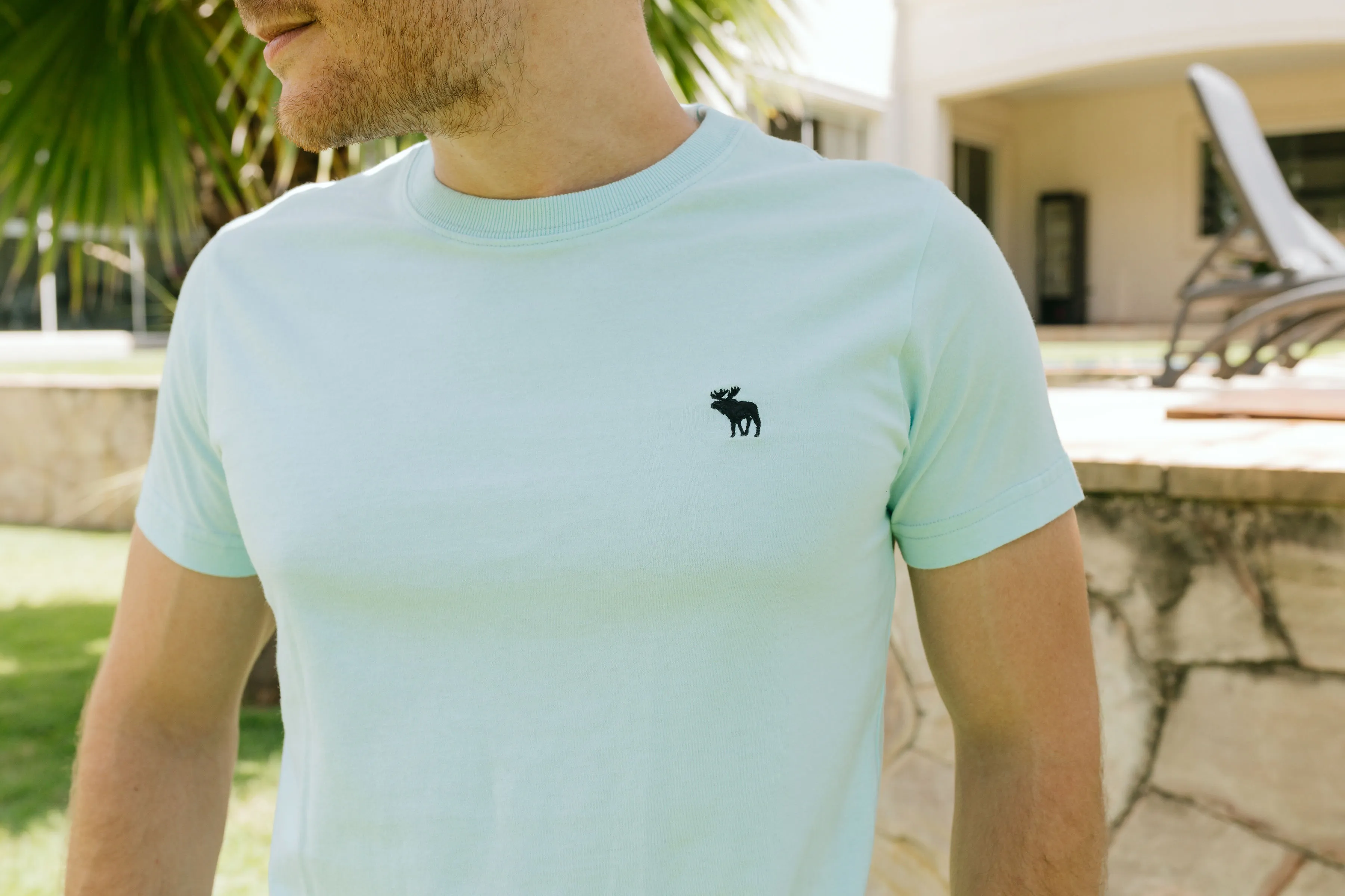 REMERA ABERCROMBIE CURVA CELESTE