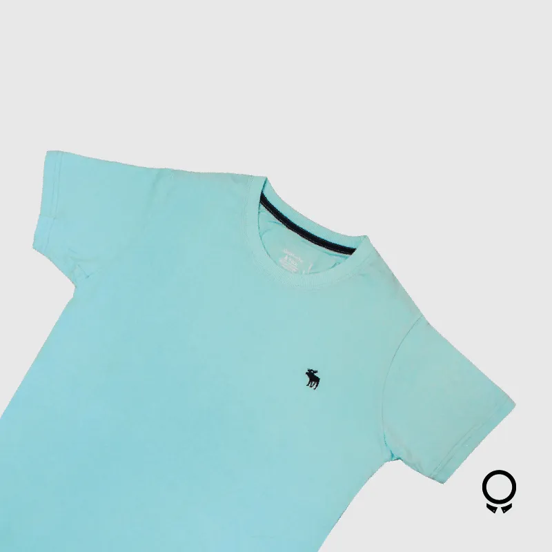 REMERA ABERCROMBIE CURVA CELESTE