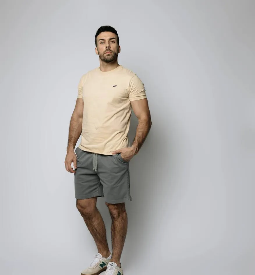 REMERA HOLLISTER REGULAR FIT BEIGE