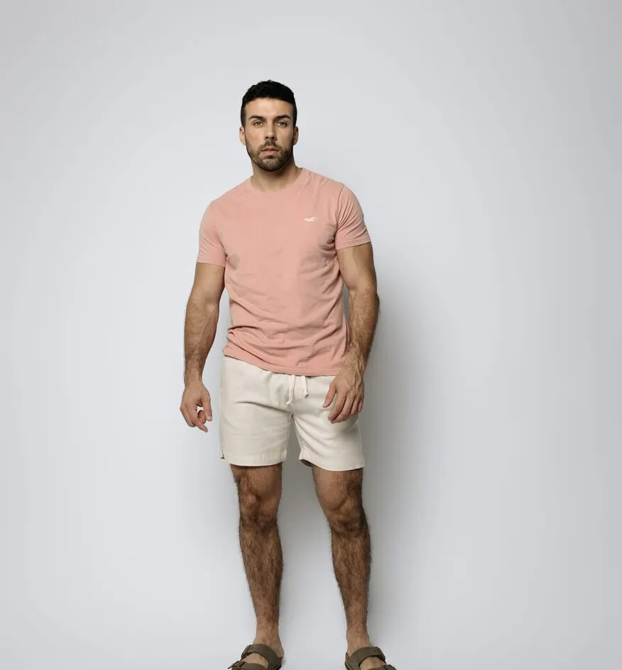 REMERA HOLLISTER REGULAR FIT ROSADA