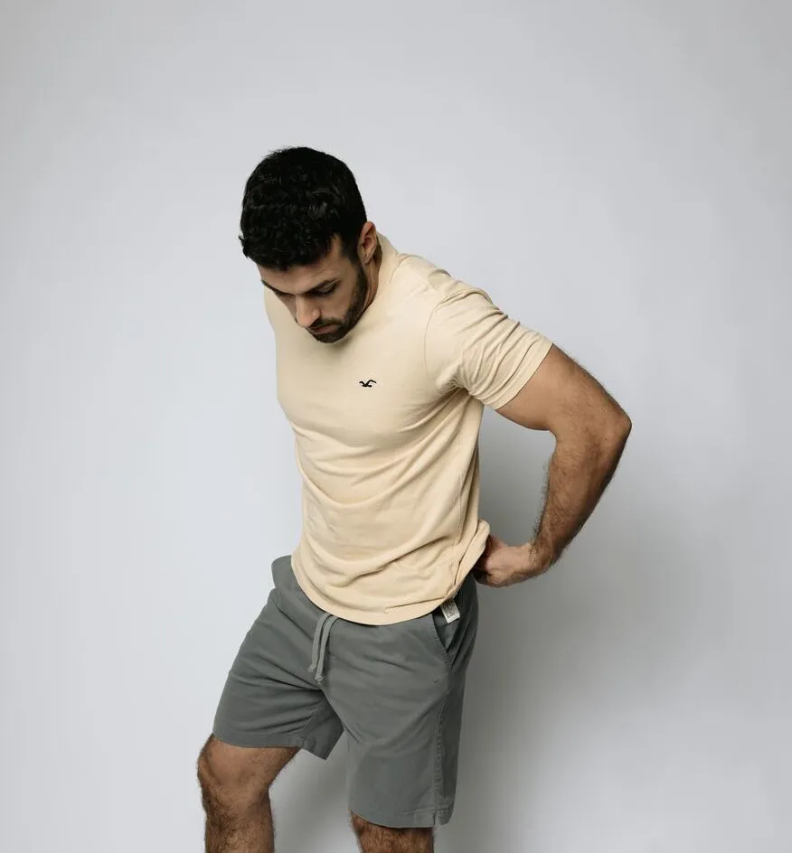 REMERA HOLLISTER REGULAR FIT BEIGE