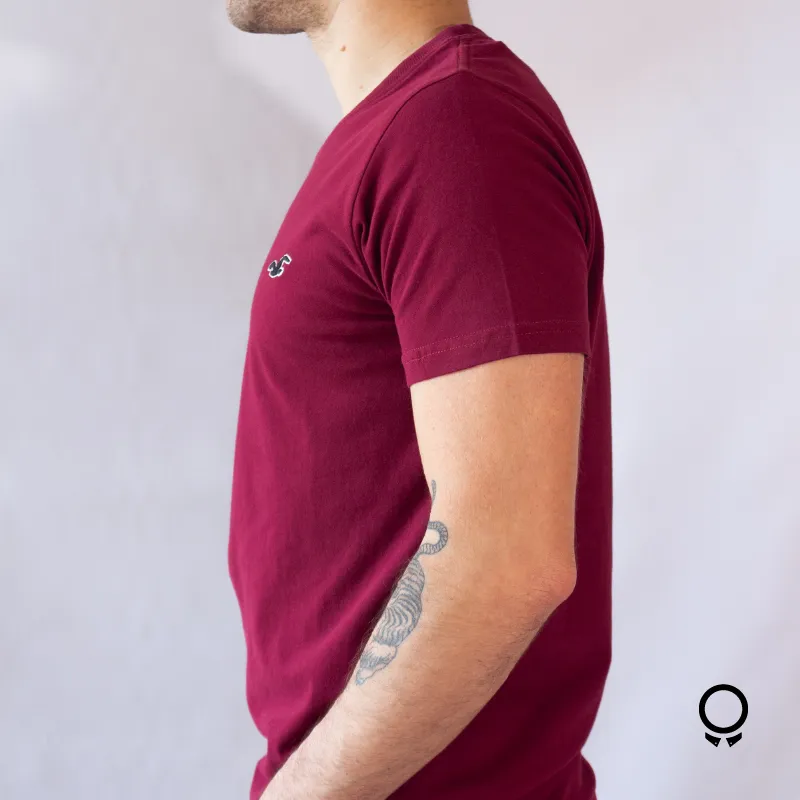 REMERA HOLLISTER CUELLO REDONDO BORDO