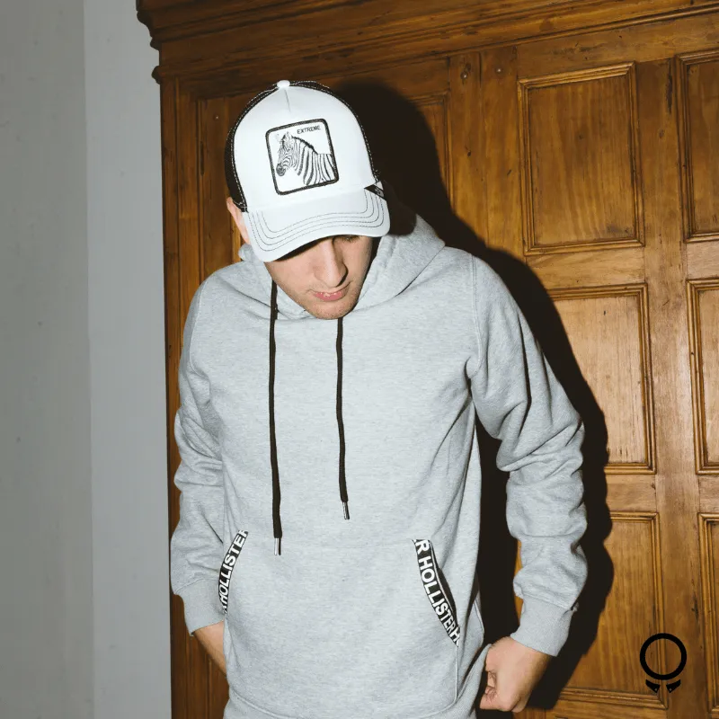 HOODIE HOLLISTER GRIS
