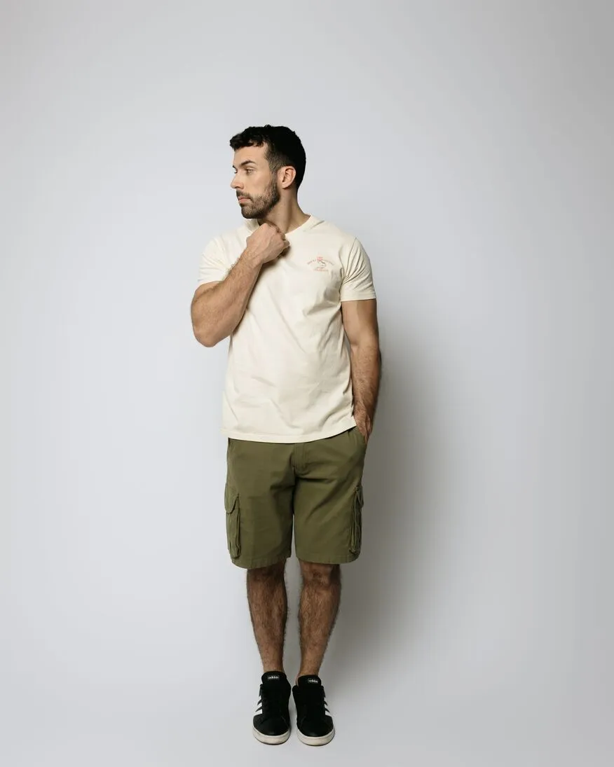 REMERA HOLLISTER REGULAR FIT BEIGE THE ROCKY MOUNTAINS