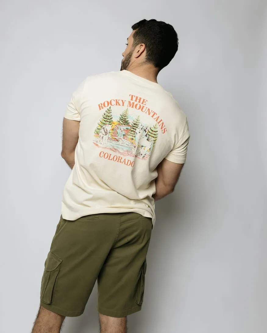 REMERA HOLLISTER REGULAR FIT BEIGE THE ROCKY MOUNTAINS