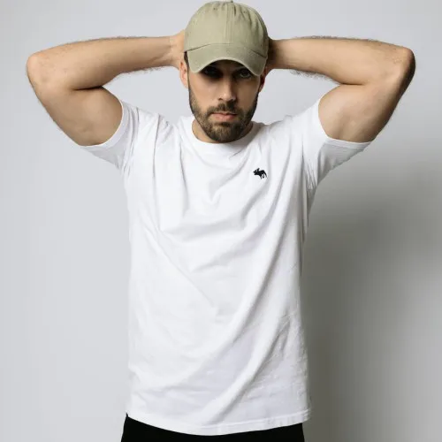 REMERA ABERCROMBIE OVERSIZE BLANCA