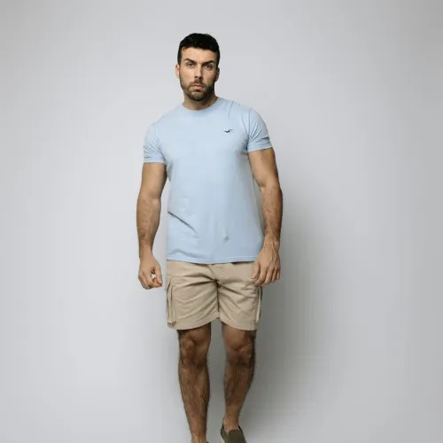 REMERA HOLLISTER REGULAR FIT CELESTE