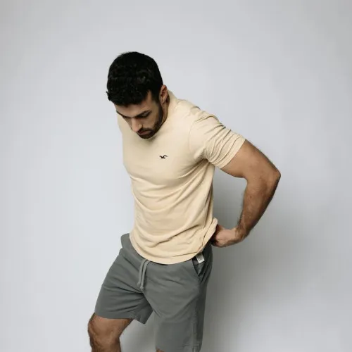 REMERA HOLLISTER REGULAR FIT BEIGE