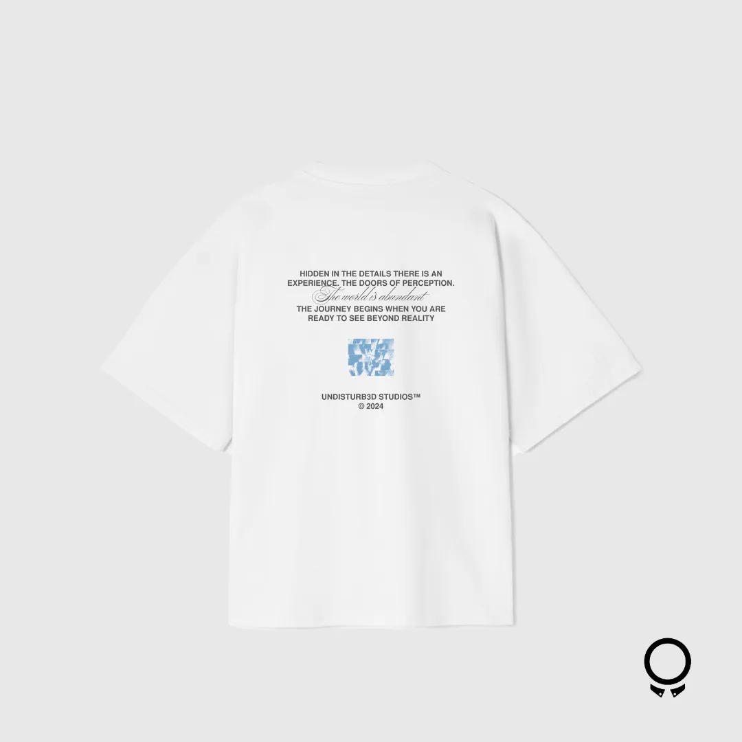 REMERA OVERSIZE UNDISTURB3D 250 GSM DOORS OF PERCEPTION WHITE